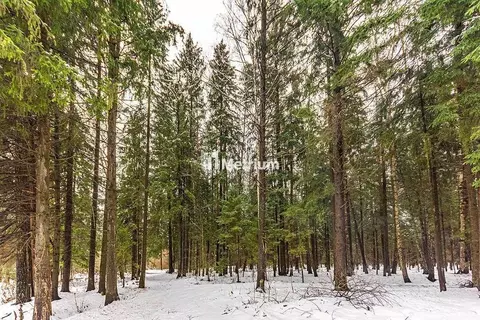 Участок в Московская область, Одинцовский городской округ, д. ...