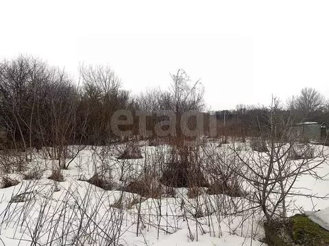 Участок в Белгородская область, Поселок Чернянка городское поселение, ...