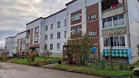 2-к кв. Ленинградская область, Бокситогорский район, д. Бор 32 (47.0 ...