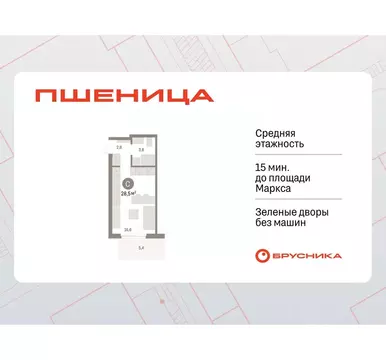 Студия Новосибирская область, Новосибирский район, Краснообск рп, 3-й ...