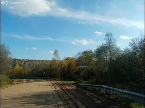Участок в Алёховщинское сельское поселение, деревня Ефремково, 53 ...