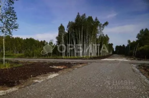 Участок в Тюменская область, Нижнетавдинский район, Моторостроитель ...