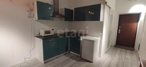 Студия Пермский край, Пермь ул. Куйбышева, 109А (26.3 м)