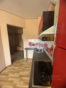 1-к кв. Алтай, Горно-Алтайск ул. Осипенко (25.7 м)