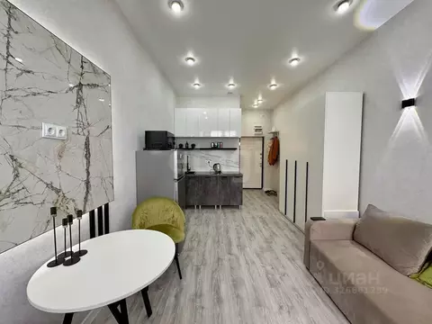 Студия Краснодарский край, Краснодар Российская ул., 267к4 (20.4 м)