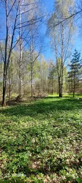 Продается участок в СНТ Пищемаш-2