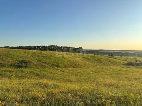 Участок в Мордовия, Лямбирский район, Берсеневское с/пос, д. Русская ...