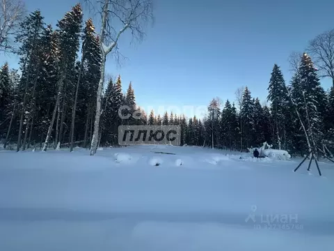 Участок в Коми, Сыктывкар Усадебная ул. (14.1 сот.)