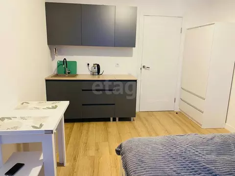 Студия Санкт-Петербург просп. Крузенштерна, 4 (19.7 м)