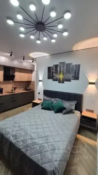 Студия Санкт-Петербург ул. Типанова, 22 (24.0 м)