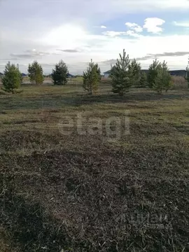 Участок в Тюменская область, Тюменский муниципальный округ, д. Елань, ...