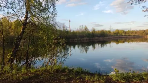 Участок в Московская область, Шаховская муниципальный округ, д. ...