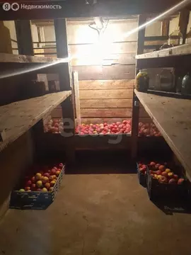 Дом в Балашов, Республиканская улица (38 м)