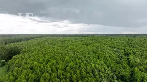 Участок в Московская область, Можайский муниципальный округ, Борисово ...