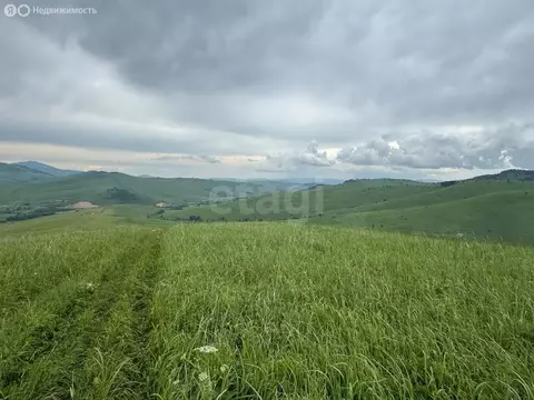 Участок в Алтайский район, ДНТ Жемчужина Алтая, Звездный бульвар (8.75 ...
