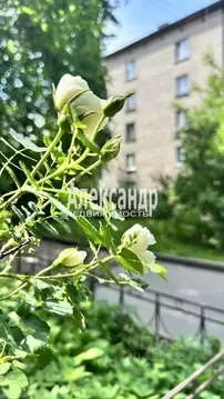 2-к кв. Санкт-Петербург ул. Маршала Говорова, 26 (42.0 м)