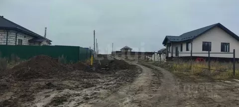 Участок в Воронежская область, Рамонский район, Новоживотинновское ...