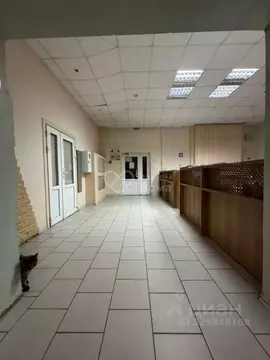 Комната Волгоградская область, Волгоград Рионская ул., 24 (18.3 м)