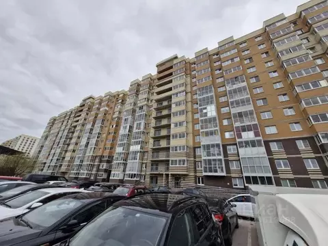 Студия Ленинградская область, Всеволожский район, Заневское городское ...