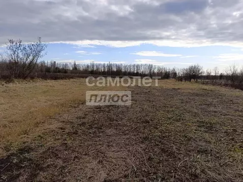 Участок в Липецкая область, Грязинский район, Карамышевский сельсовет, ...