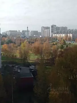 1-к кв. Санкт-Петербург ул. Подвойского, 15 (41.0 м)