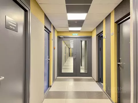 Студия Санкт-Петербург Витебский просп., 101к1 (24.0 м)