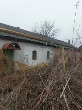 Дом в Свердловская область, Нижняя Салда ул. Мира (37 м)