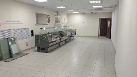 Помещение свободного назначения в Новосибирская область, Новосибирский ...