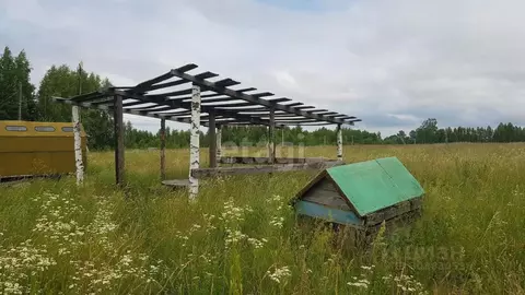 Участок в Брянская область, Жуковский муниципальный округ, д. Упрусы  ...