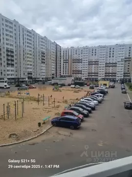 1-к кв. Тверская область, Тверь Южный мкр,  (43.0 м)