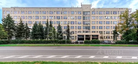 Офис в Санкт-Петербург Левашовский просп., 12 (31 м)