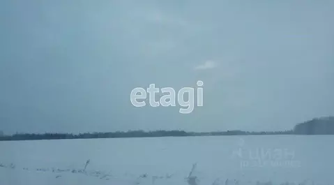 Участок в Курганская область, Шадринский муниципальный округ, с. Ключи ...