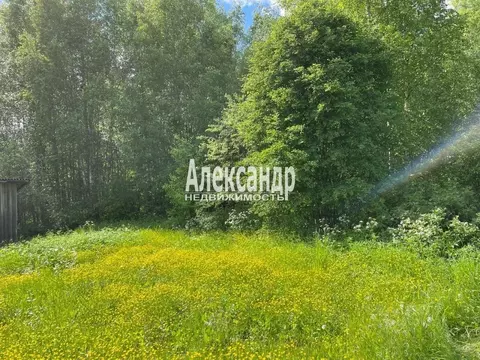 Участок в Ленинградская область, Выборг Подсобное СНТ, пер. 3-й ...