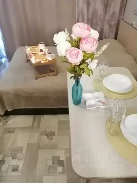 Студия Челябинская область, Челябинск Набережная ул., 5А (30.0 м)