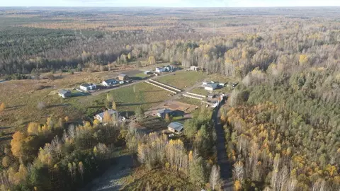 Участок в Ленинградская область, Ломоносовский район, Низинское с/пос, ...