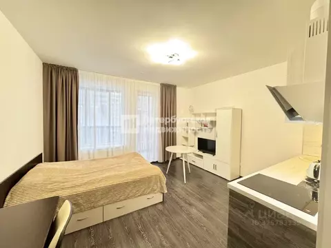 Студия Санкт-Петербург ул. Верхне-Каменская, 9к1 (24.8 м)