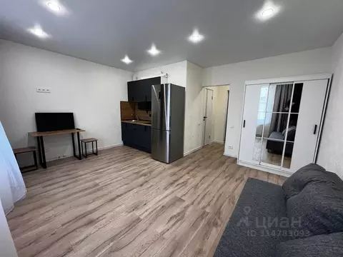 Студия Московская область, Красногорск городской округ, с. ...