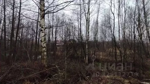 Участок в Московская область, Серпухов городской округ, пос. Большевик ...