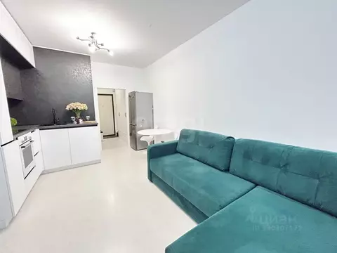 Студия Санкт-Петербург Курляндская ул., 10 (24.0 м)