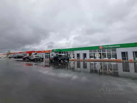 Торговая площадь в Владимирская область, Александровский муниципальный ...