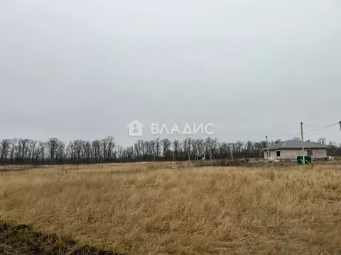 Участок в Пензенская область, с. Бессоновка ул. Ключевая (10.0 сот.)