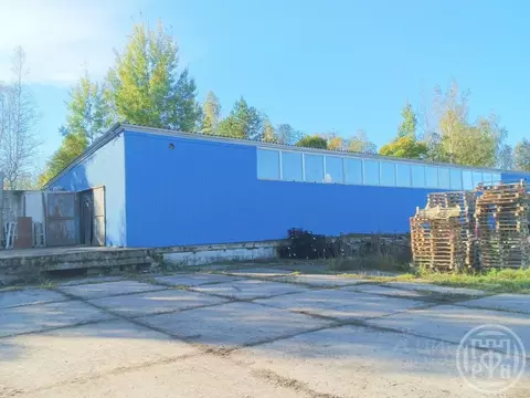 Помещение свободного назначения в Ленинградская область, Выборгский ...