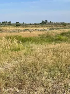 Участок в Ростовская область, Азовский район, Елизаветинское с/пос, ...