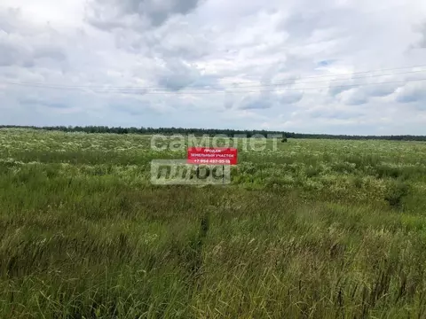 Участок в Ивановская область, Ивановский район, Куликовское с/пос, д. ...