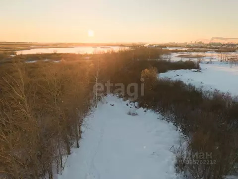 Участок в Тюменская область, Тюмень Салют СНТ, ул. Чемпионов (8.95 ...