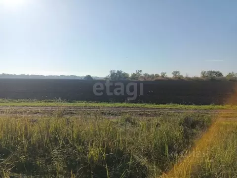 Участок в Ростовская область, Азовский район, с. Кулешовка ул. ...