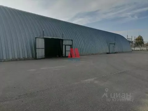 Помещение свободного назначения в Ярославская область, Ярославль ул. ...