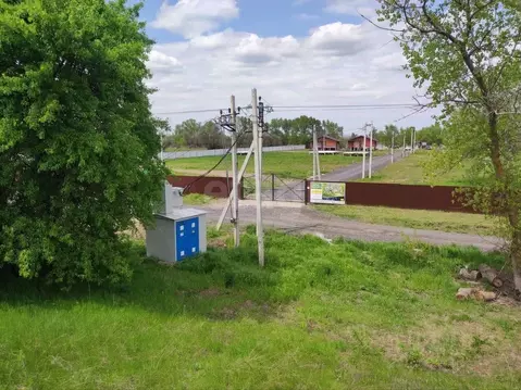 Участок в Ростовская область, Багаевский район, Манычское с/пос, ...