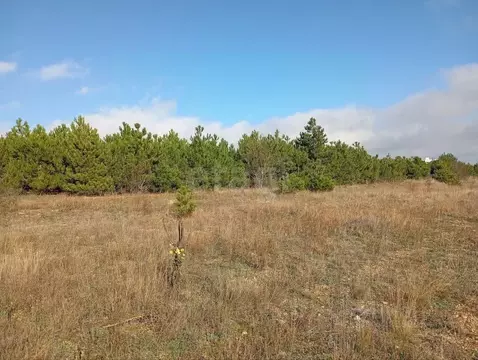 Участок в Крым, Кировский район, Старый Крым городское поселение ул. ...