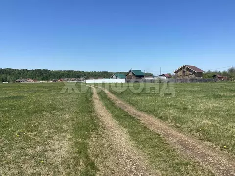 Участок в Томская область, Томский район, Журавли кп  (10.41 сот.)